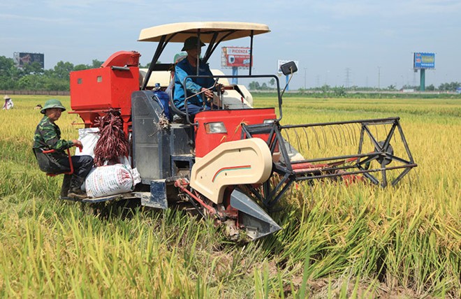 Lần đầu tiên sau nhiều năm, tăng trưởng khu vực nông nghiệp bị suy giảm