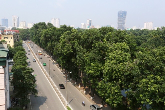 Hà Nội 'chia tay' hàng cây xanh bên hồ Thủ Lệ