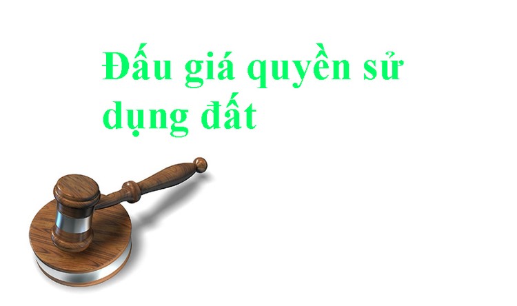 Đấu giá quyền sử dụng đất và quyền sở hữu nhà tại Bình Dương