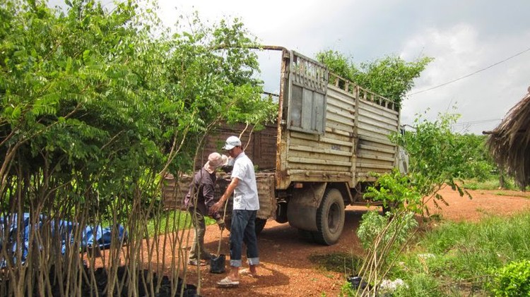 Một gói thầu được nhận định sẽ không có hiệu quả nhiều mặt, nhưng vẫn được triển khai vì ý thích của lãnh đạo tỉnh. Ảnh: Gia Nguyễn