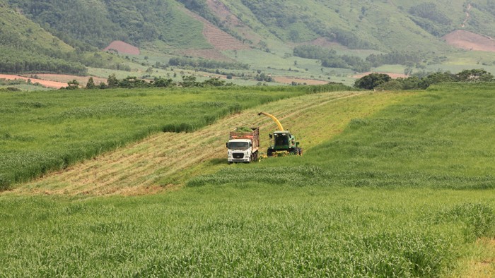 Đa số doanh nghiệp rất hào hứng với quyết sách hỗ trợ tài chính phát triển nông nghiệp công nghệ cao của Thủ tướng Chính phủ. Ảnh: Tường Lâm