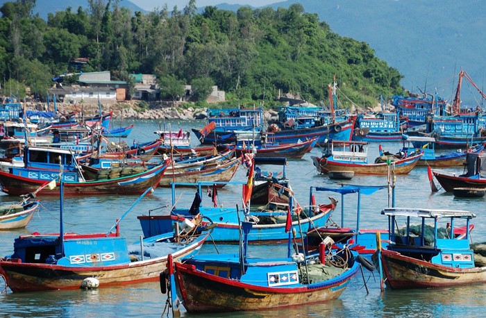 Việc Công ty CP Tư vấn kiểm định và Xây dựng Thành Phát chưa đăng ký tư cách nhà thầu, lại không có bảo lãnh dự thầu đang đặt ra nghi vấn về động cơ dự thầu của nhà thầu này. Ảnh: Mai Thiện