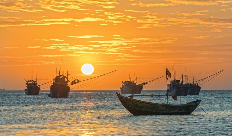 Khát vọng vươn cao