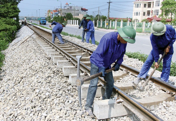 Một số công ty con của VNR đã chia nhỏ gói thầu để lựa chọn nhà thầu theo hình thức chào hàng cạnh tranh hoặc mua sắm trực tiếp. Ảnh: Thế Duyệt