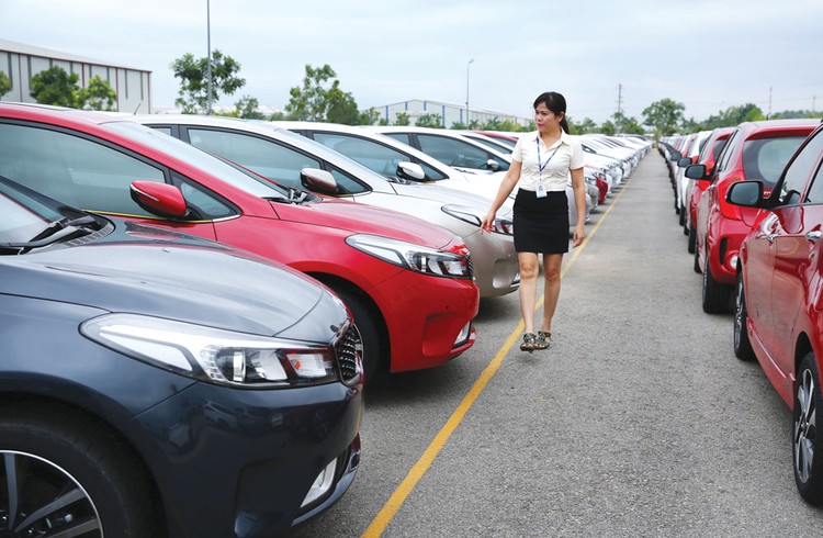 Thống kê của CIEM cho thấy, tương ứng với 243 ngành nghề kinh doanh có điều kiện, hiện có khoảng 3.407 điều kiện kinh doanh cụ thể. Ảnh: Lê Tiên