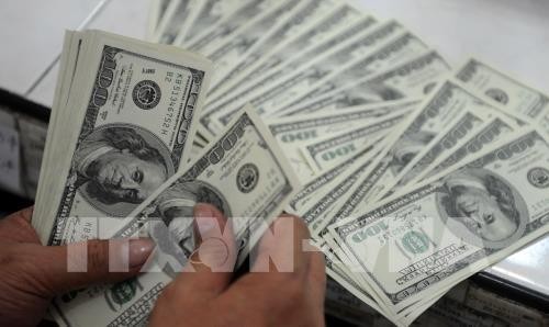 Tỷ giá USD hôm nay 13/6. Ảnh: AFP/TTXVN