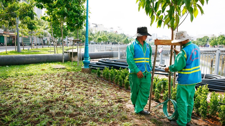 Kinh phí cho trồng, chăm sóc, cắt tỉa cây xanh của các đô thị là rất lớn, đặc biệt là TP.HCM. Ảnh: Lê Tiên