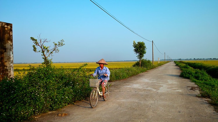 Trong số những gói thầu mà Công ty TNHH Tân Phước Thành trúng thầu, có nhiều gói thi công đường, hệ thống chiếu sáng... Ảnh: Nhã Chi