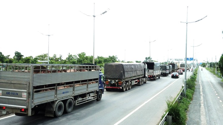 Tình trạng quá tải diễn ra thường xuyên trên các tuyến giao thông từ TP.HCM đến các tỉnh ĐBSCL, từ các tỉnh miền Đông về TP.HCM. Ảnh: Lê Tiên