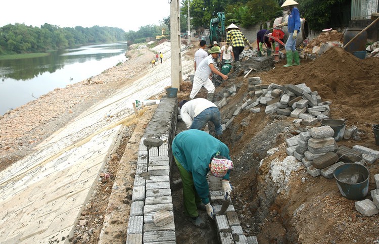 Tình trạng nhiều thành viên tổ chuyên gia chấm thầu thiếu chứng chỉ hành nghề đã dẫn đến sai phạm trong quá trình lựa chọn nhà thầu. Ảnh: Tiên Giang