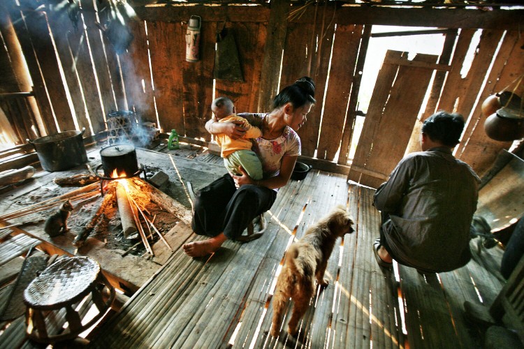 Chó cộc đuôi luôn được coi là “vật quý” của nhiều gia đình đồng bào dân tộc. Ảnh: Nguyễn Việt Thanh