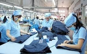 PTG hoàn thành việc chia cổ tức năm 2024 là 150% bằng tiền mặt