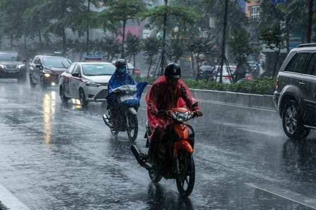 Ảnh minh họa. Nguồn: Vietnam+