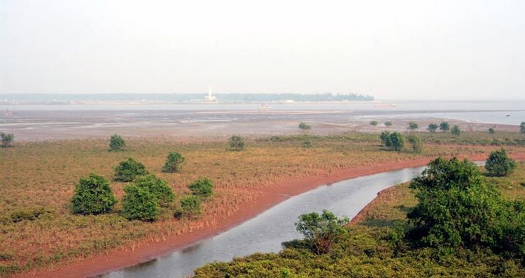 Ảnh minh họa