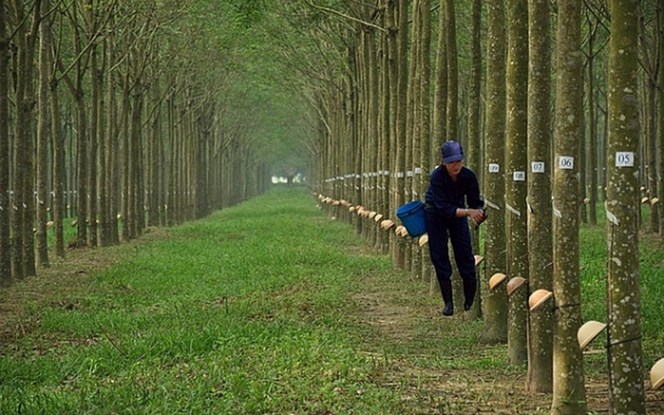 Ảnh chỉ mang tính minh họa. Nguồn Internet