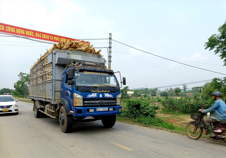 Ảnh chỉ mang tính minh họa. Nguồn Internet