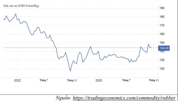 Giá hợp đồng tương lai cao su tự nhiên trên Sở Giao dịch hàng hóa Tokyo đang ở mức cao nhất kể từ đầu tháng 8/2022