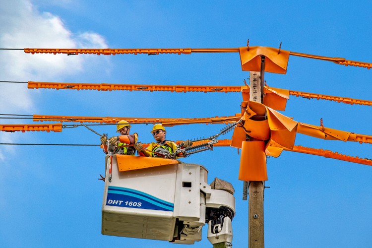 Ảnh chỉ mang tính minh họa. Nguồn Internet