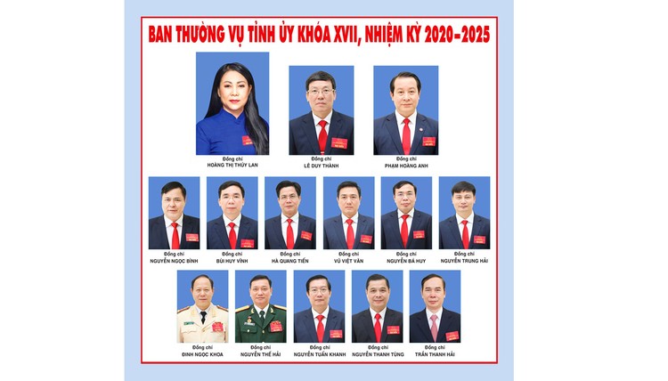 Bộ Chính trị thi hành kỷ luật cảnh cáo Ban Thường vụ Tỉnh ủy Vĩnh Phúc nhiệm kỳ 2020 - 2025