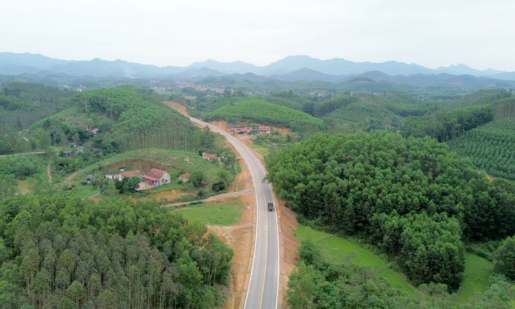 Ảnh chỉ mang tính minh họa. Nguồn Internet
