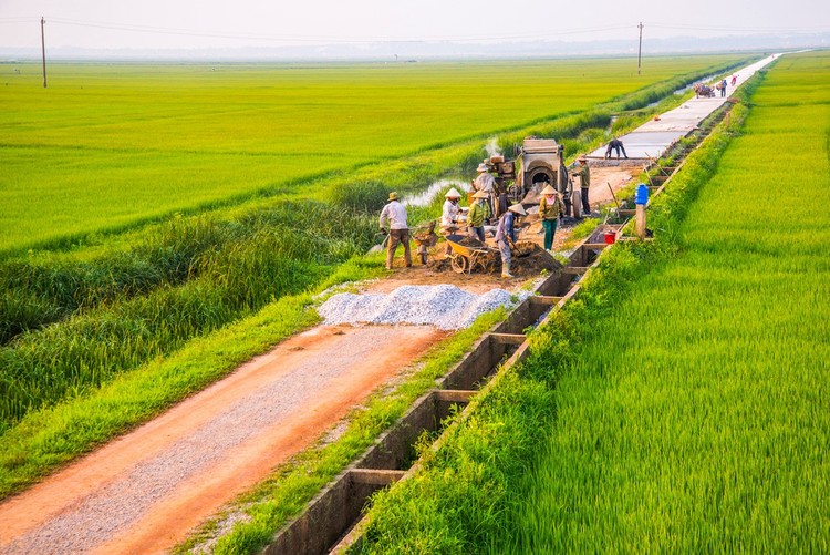 Ảnh chỉ mang tính minh họa. Nguồn Internet