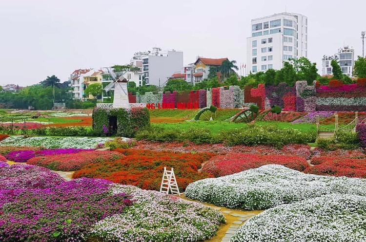 Thung lũng hoa Hồ Tây vừa được đấu giá cho thuê thành công với mức hơn 734 triệu đồng/năm