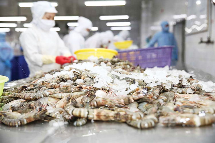 Chế biến tôm xuất khẩu