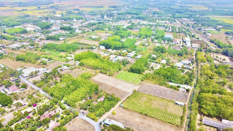 Huyện Hóc Môn muốn đấu giá sớm khu đất 290 ha phát triển đô thị theo mô hình TOD. Ảnh minh họa