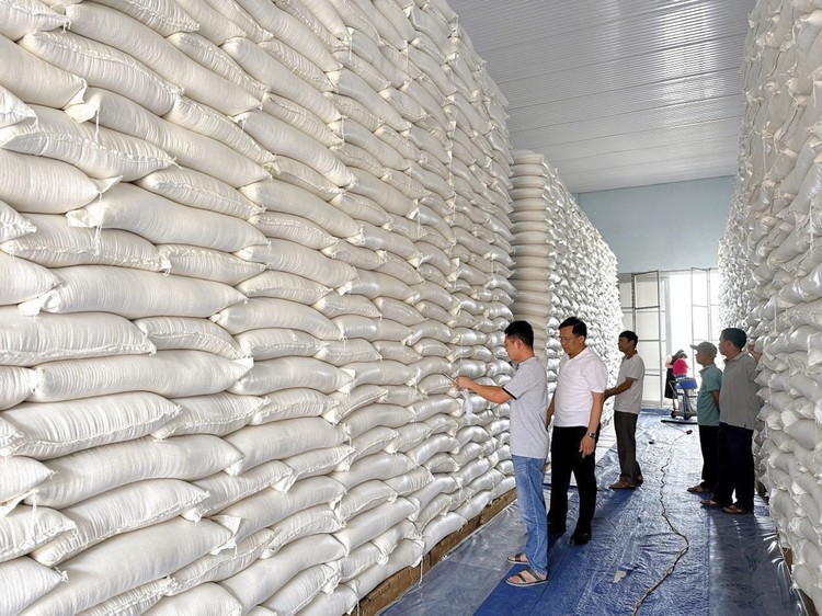 Xuất cấp không thu tiền 668,505 tấn gạo từ nguồn dự trữ quốc gia cho 3 tỉnh: Hà Giang, Tuyên Quang và Bắc Kạn