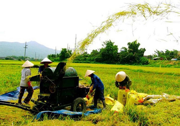 Thành lập Ban Chỉ đạo Trung ương các chương trình mục tiêu quốc gia giai đoạn 2021 - 2025. Ảnh minh họa