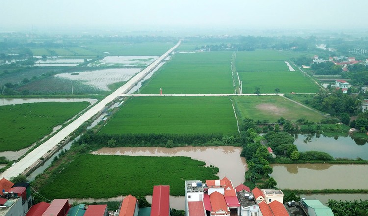 Nội dung Gói thầu số 01 là lập quy hoạch sử dụng đất, kế hoạch sử dụng đất nhưng yêu cầu nhà thầu phải có chứng chỉ lập quy hoạch xây dựng hạng II. Ảnh: Trần Chiến