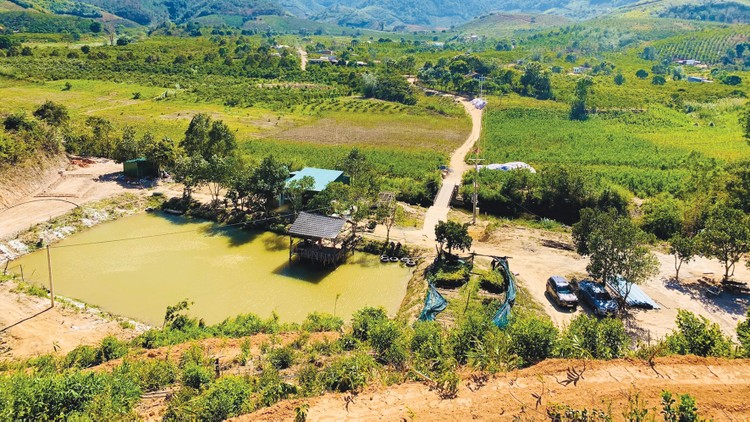 Farmstay về bản chất là loại hình bất động sản lưu trú, do đó các nhà đầu tư cần quan tâm đến hành lang pháp lý khi tiến hành đầu tư sản phẩm này. Ảnh: Lâm Nguyễn