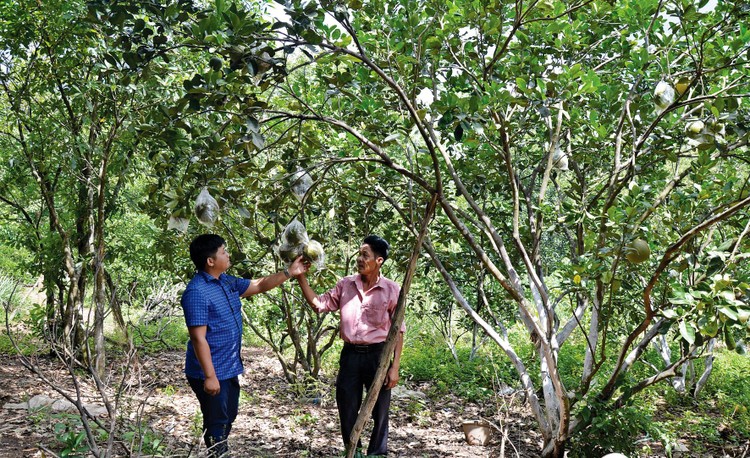 Hồ sơ mời thầu yêu cầu nhà thầu tham dự phải có hợp đồng công trình sử dụng nguồn vốn ngân sách nhà nước là hạn chế sự tham gia của nhà thầu. Ảnh: Thục Quyên