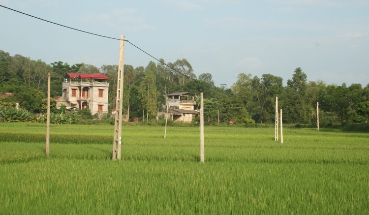 Ảnh minh họa: Internet