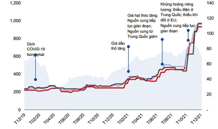 Diễn biến giá urê toàn cầu