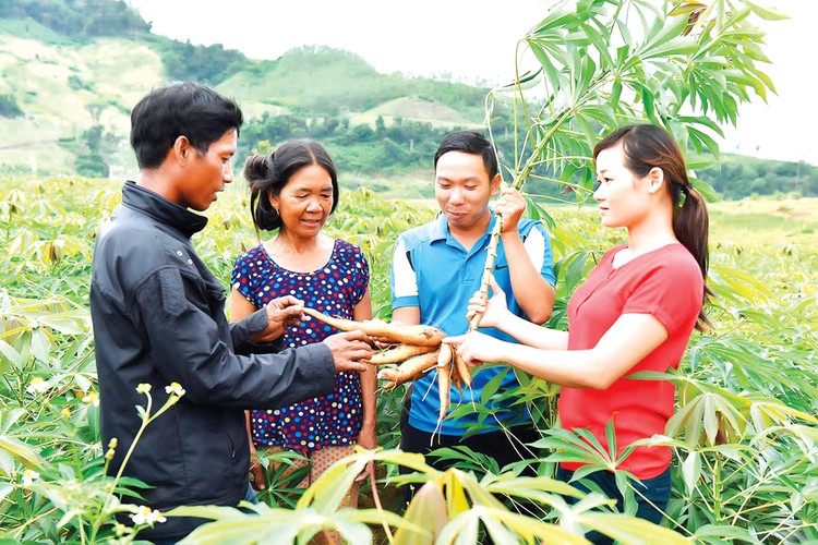 Chính phủ đề nghị bổ sung một số giải pháp chính sách nhằm tạo điều kiện thuận lợi triển khai 3 chương trình mục tiêu quốc gia. Ảnh: Trọng Huyền