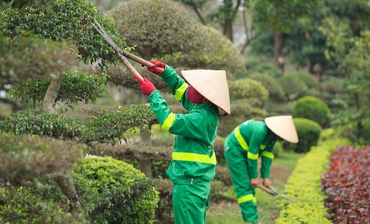 Ảnh chỉ mang tính minh họa: Internet