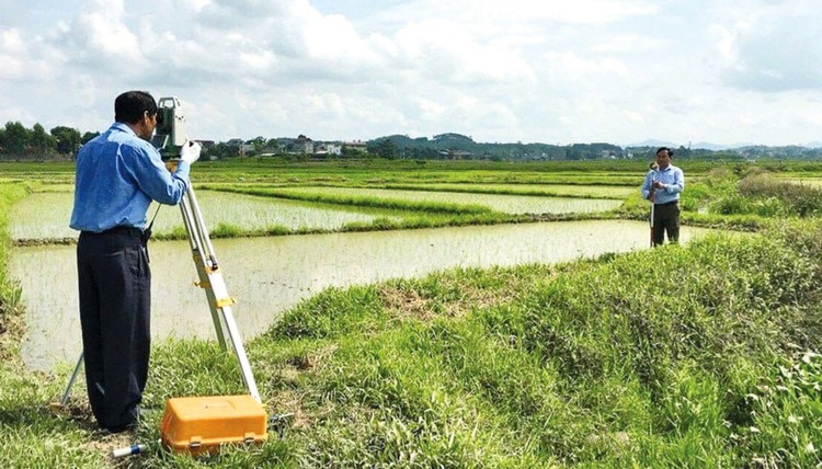 Gói thầu quy hoạch sử dụng đất tại huyện Thủy Nguyên, TP. Hải Phòng phát sinh văn bản đề nghị làm rõ do yêu cầu quá nhiều chuyên gia lĩnh vực nông nghiệp. Ảnh minh họa: Nhã Chi