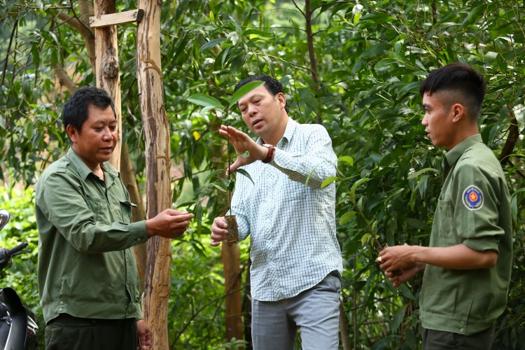 Ưu tiên bố trí nguồn lực cho các mục tiêu liên quan đến bảo vệ môi trường, tài nguyên thiên nhiên, các hệ sinh thái và thích ứng biến đổi khí hậu... Ảnh: Tiên Giang