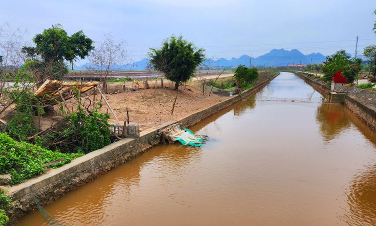 Gói thầu Thi công xây dựng công trình thuộc Dự án Nâng cấp hệ thống kênh tiêu Thành Hồ, xã Yên Thái, huyện Yên Mô, tỉnh Ninh Bình có 2 nhà thầu tham dự. Ảnh minh họa: Minh Thiên