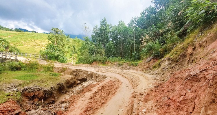 Gói thầu số 9 Thi công xây dựng thuộc Dự án Tuyến đường Trà Thanh, huyện Trà Bồng, tỉnh Quảng Ngãi đi Trà Giáp, huyện Bắc Trà My, tỉnh Quảng Nam đã chọn được nhà thầu. Ảnh minh họa: Nguyễn Trang