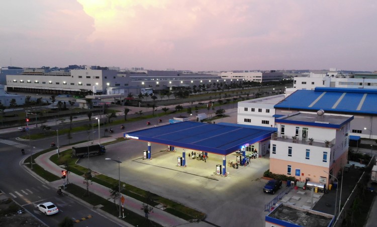 Đấu giá 50,48% vốn điều lệ Thiết bị Xăng dầu Petrolimex, khởi điểm 193.700 đồng/cổ phần