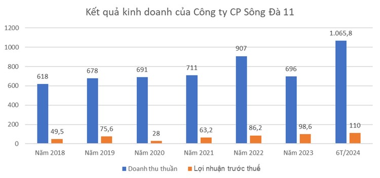 Nguồn: Báo cáo tài chính của Công ty CP Sông Đà 11. Đơn vị tính: tỷ đồng