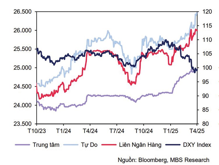 Biến động tỷ giá USD/VND.