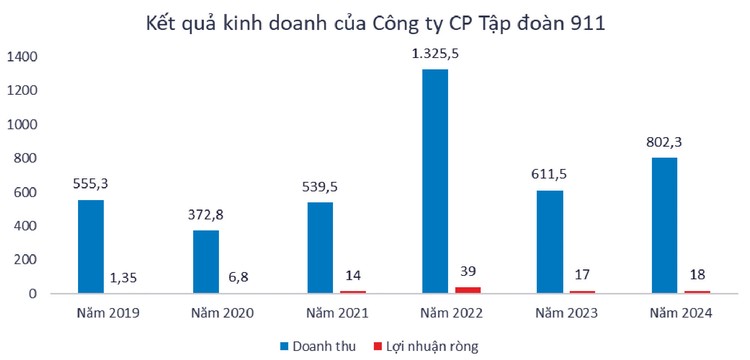 Nguồn: Báo cáo tài chính kiểm toán của Tập đoàn 911. Đơn vị tính: tỷ đồng
