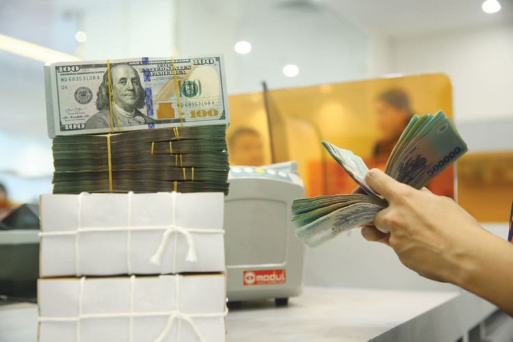 Tỷ giá USD/VND tiếp tục chịu áp lực gia tăng khi nhu cầu ngoại tệ lên cao trong mùa cao điểm nhập khẩu. Ảnh: Tiên Giang