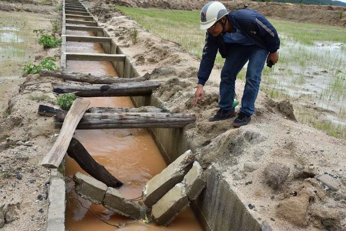 Dự kiến, trong tháng 7/2021, Bộ Nông nghiệp và Phát triển nông thông sẽ công bố đánh giá năng lực nhà thầu tham gia các dự án đầu tư xây dựng do Bộ quản lý trong nửa đầu năm 2021 (Ảnh: Internet)